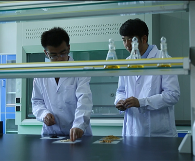 党建引领聚合力 校企联动赋新能——ok138cn太阳集团古天乐与甘肃中医药大学深化产学研协同